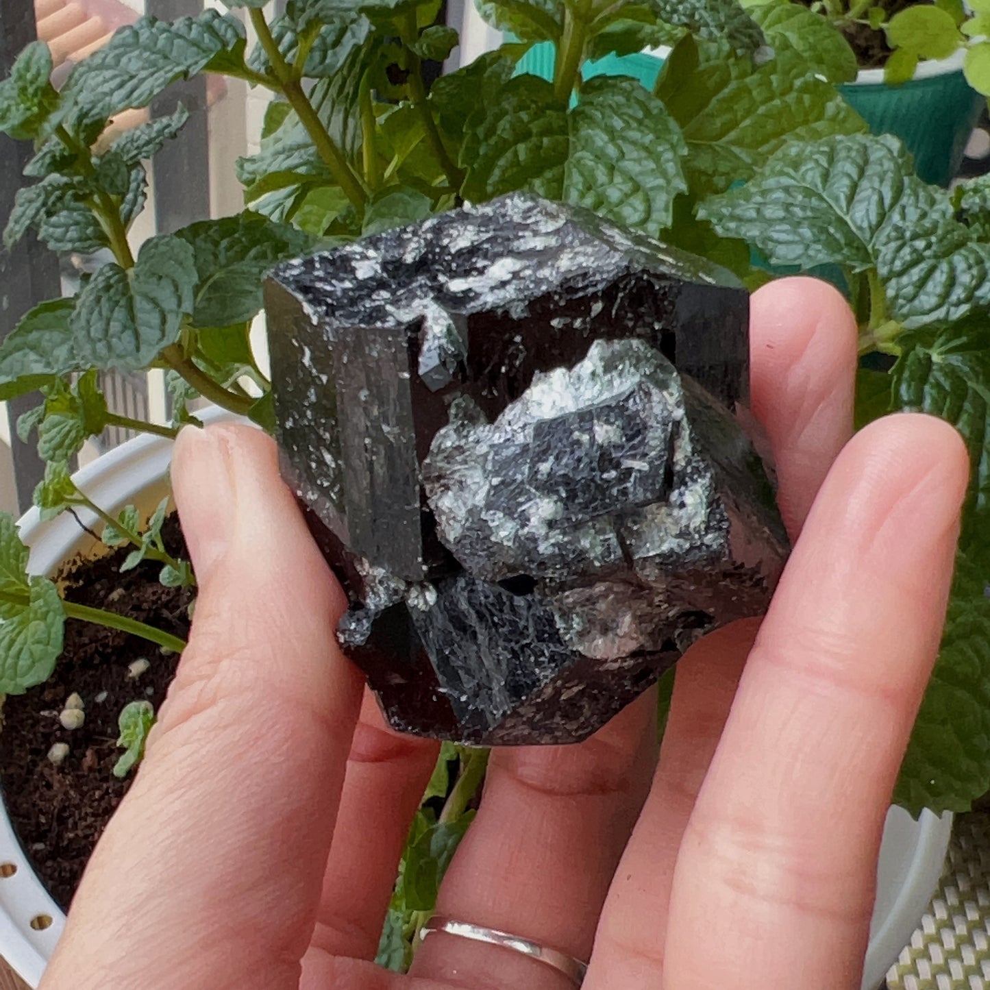 Top Grade Black Tourmaline Twins Raw Stone Perfect Formation 102.3G | Reiki Healing Protection Crystals