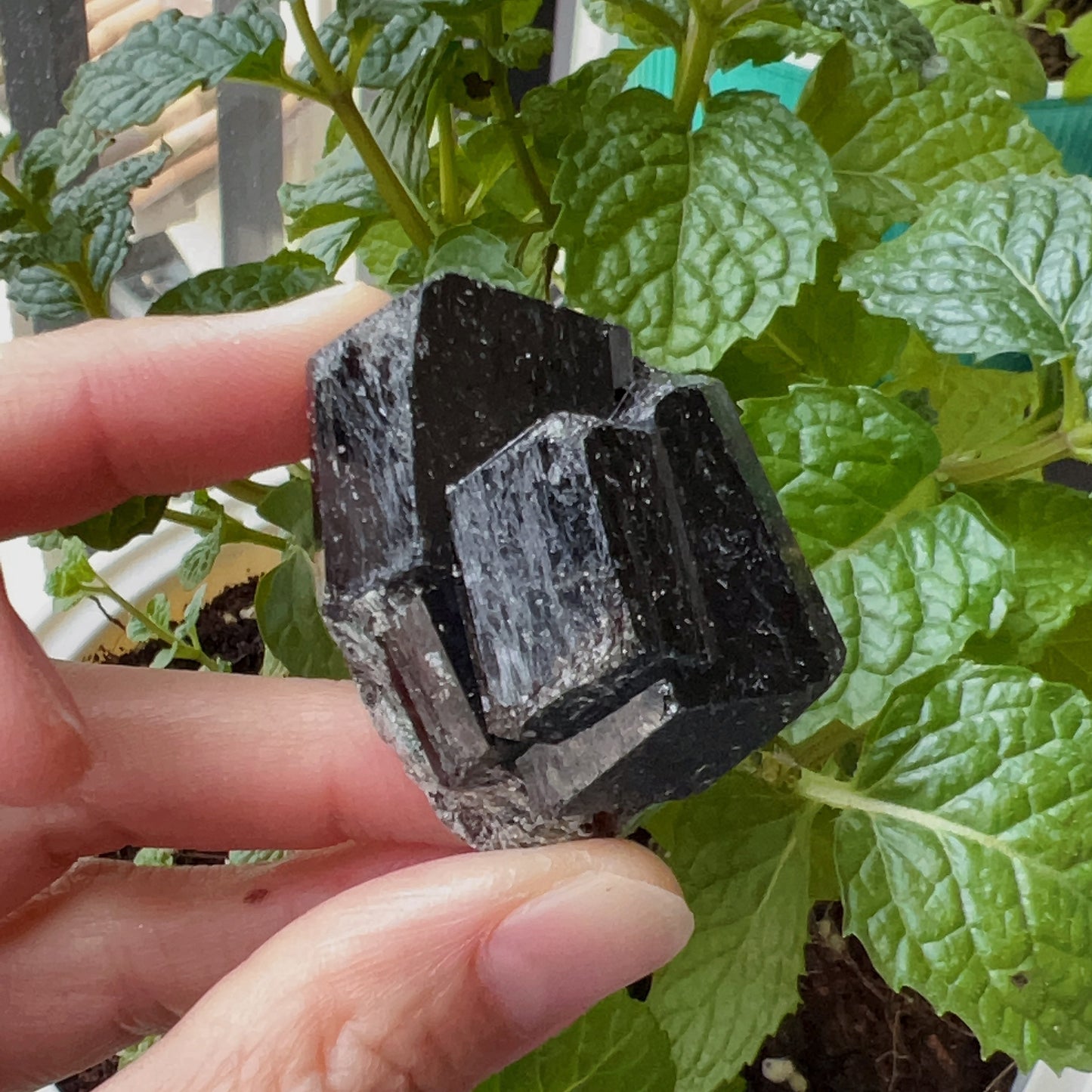 Top Grade Black Tourmaline Twins Raw Stone Perfect Formation 63.6G | Reiki Healing Protection Crystals