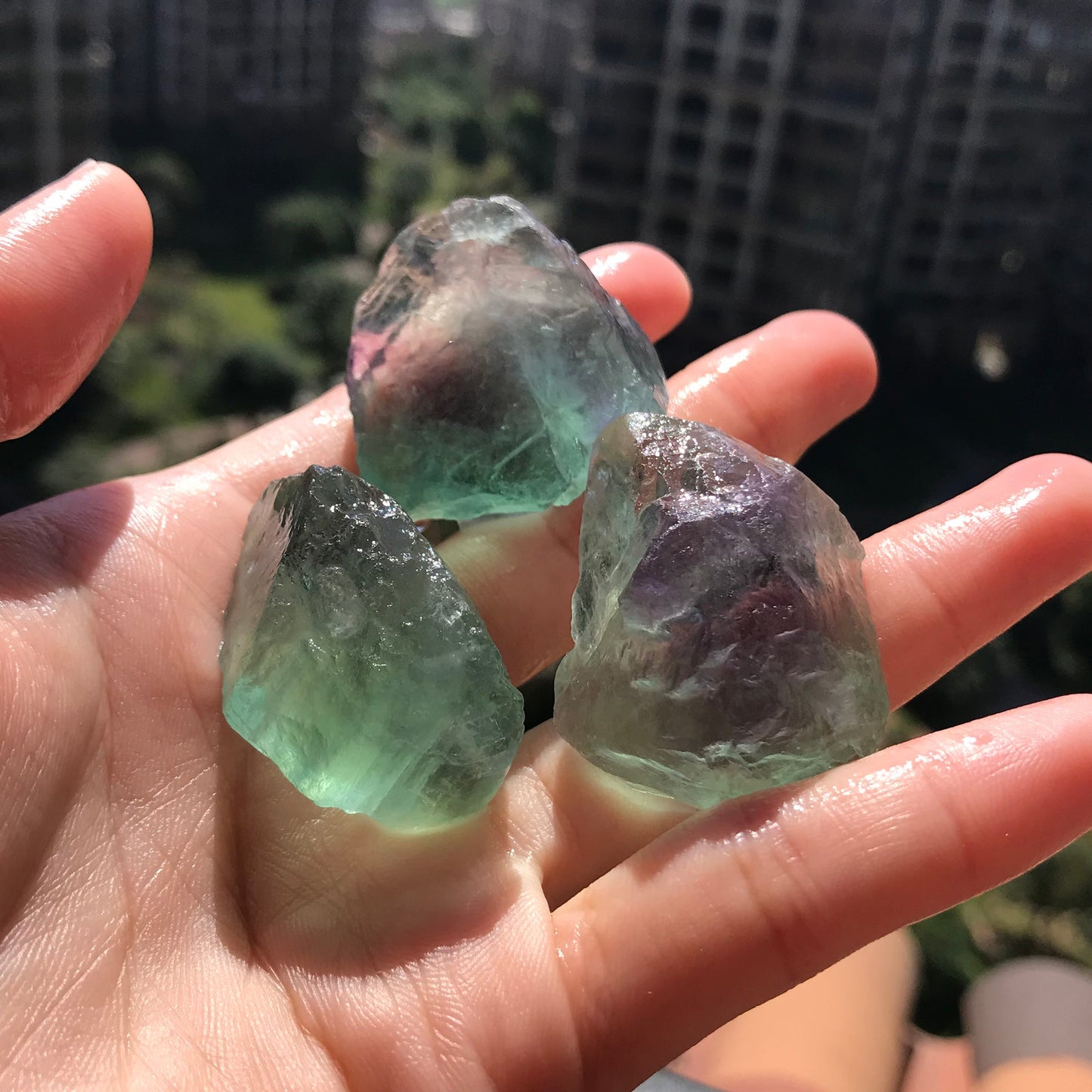 Set Of 3 Green Fluorite Crystal Gemstone Mineral | Healing Raw Stone | Holiday Gifts