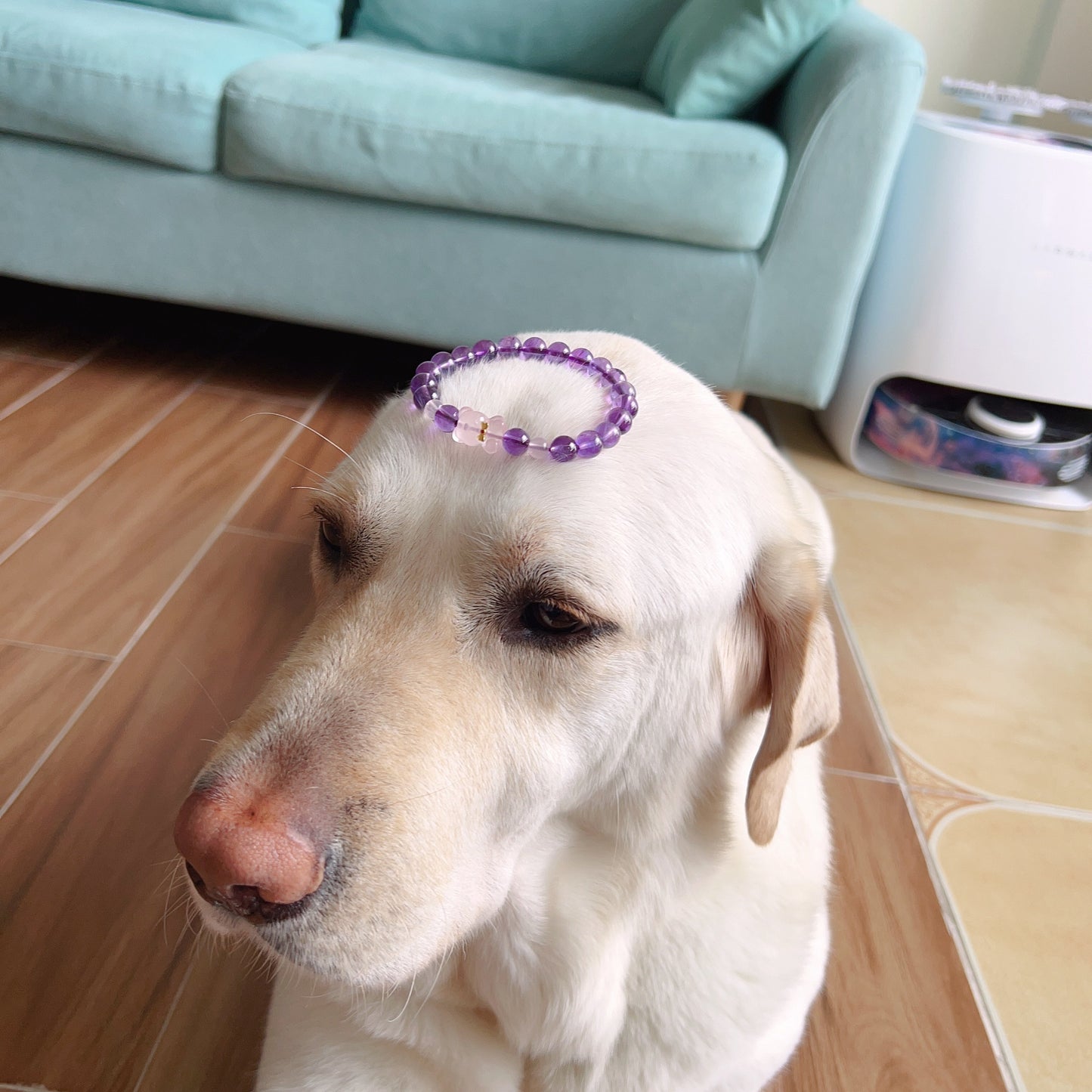 Natural Amethyst Healing Bracelet With Gummy Bear Charm | Custom Crown Chakra Jewelry For Energy Healing And Wellness