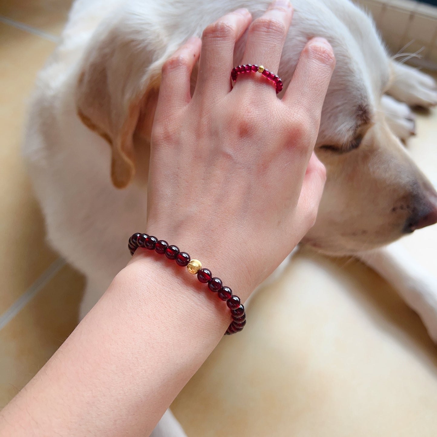 Red Garnet Protection Bracelet With 18K Yellow Gold | Root Chakra Healing & Energy Jewelry For Men And Women