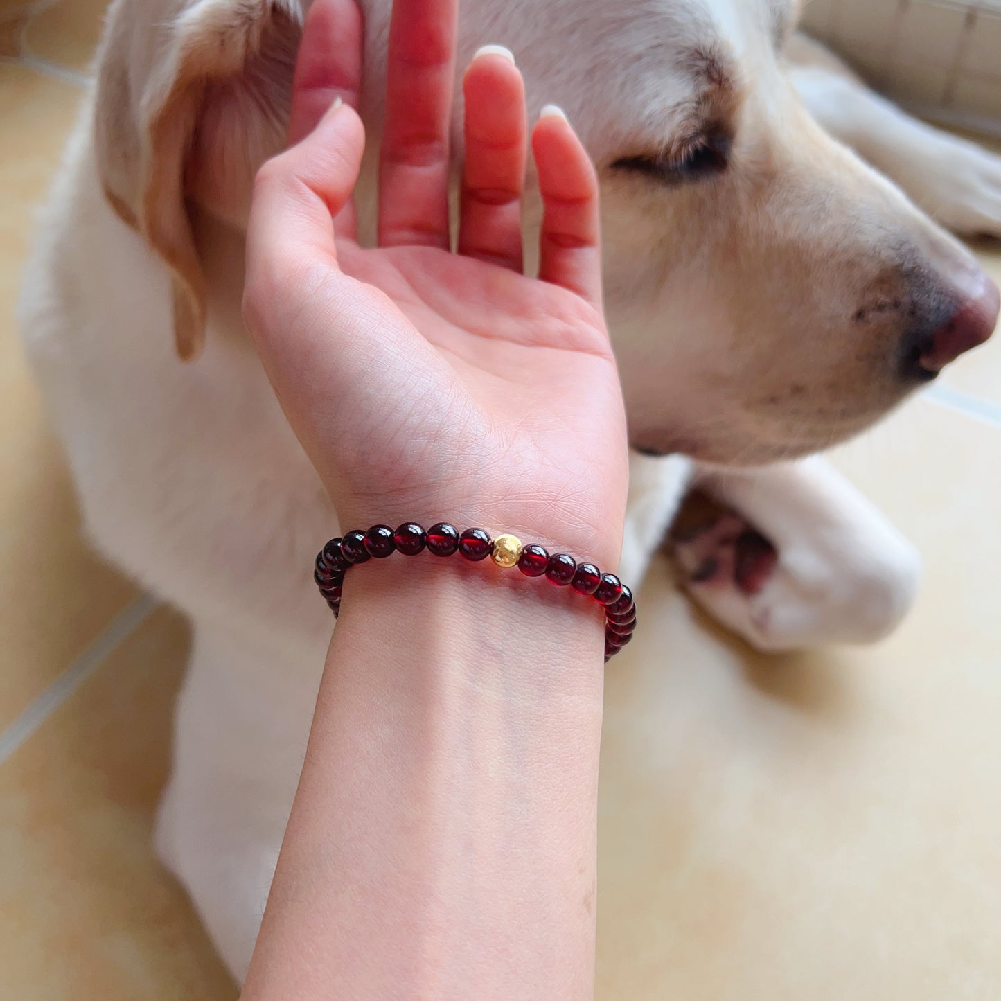 Red Garnet Protection Bracelet With 18K Yellow Gold | Root Chakra Healing & Energy Jewelry For Men And Women