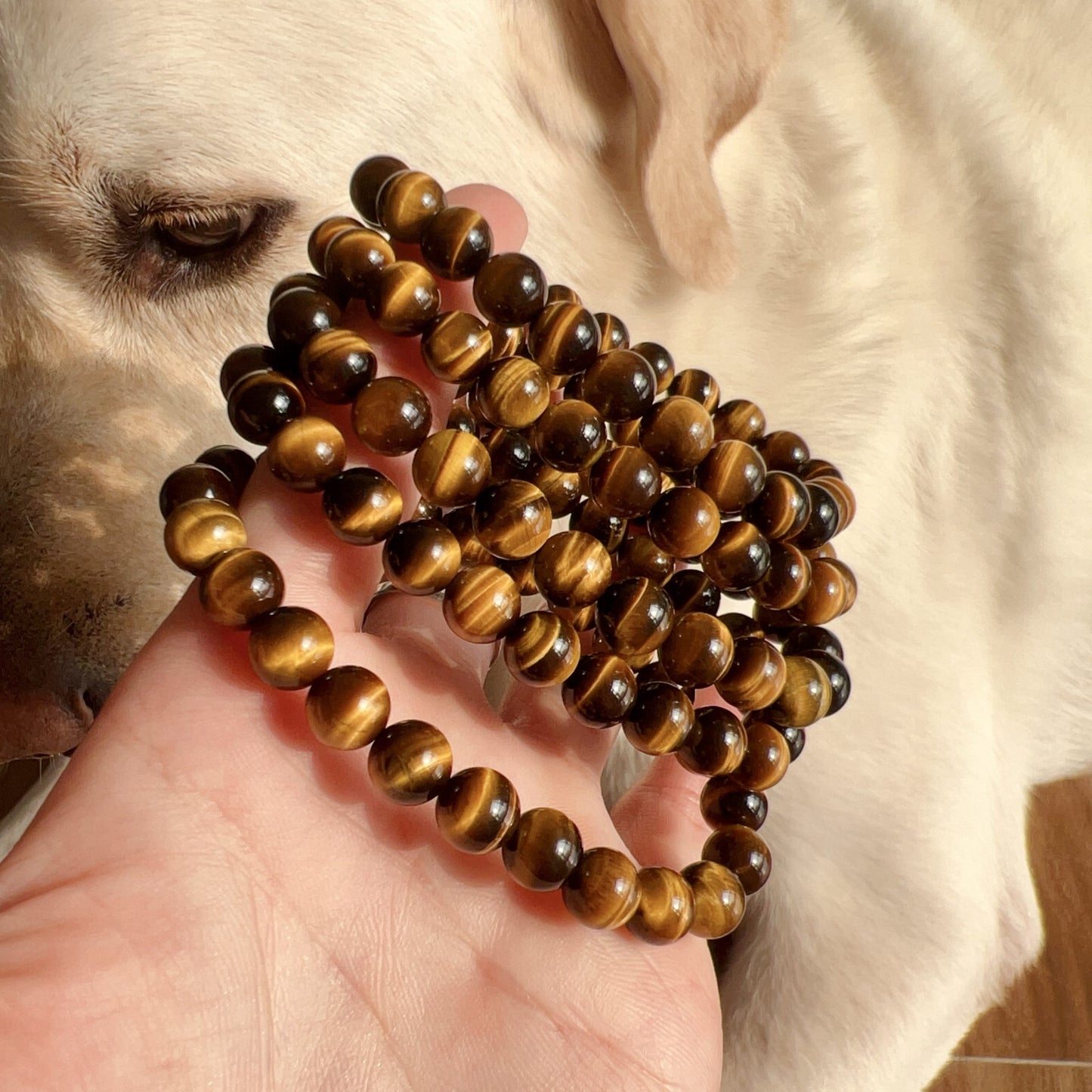 Captivating Brown Tiger Eye Bracelet | 8Mm Healing Stone Beads | Energize Your Spirit And Enhance Your Style With Gemstone Jewelry
