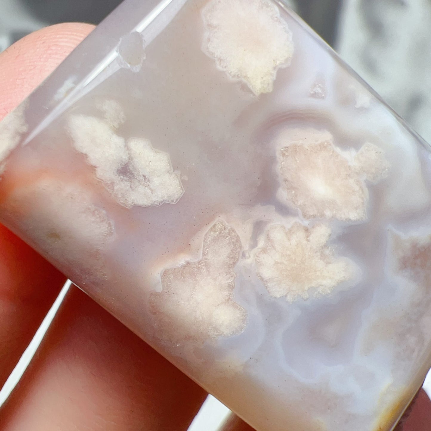 Cherry Blossom Agate Flat Pendant | Sakura Agate Jewelry Findings For Diy Projects