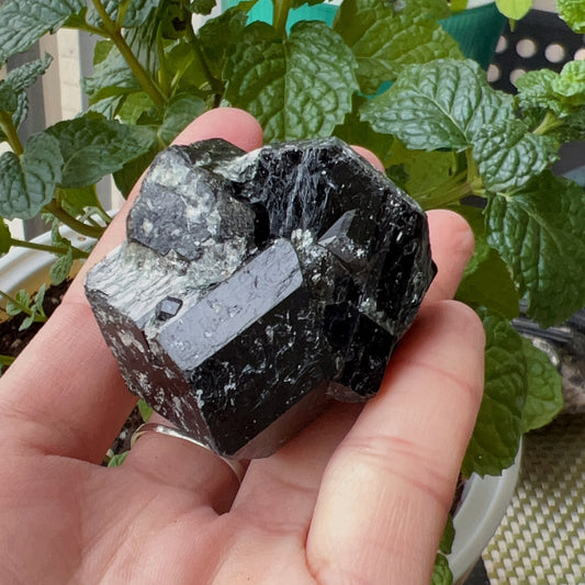 Top Grade Black Tourmaline Twins Raw Stone Perfect Formation 102.3G | Reiki Healing Protection Crystals