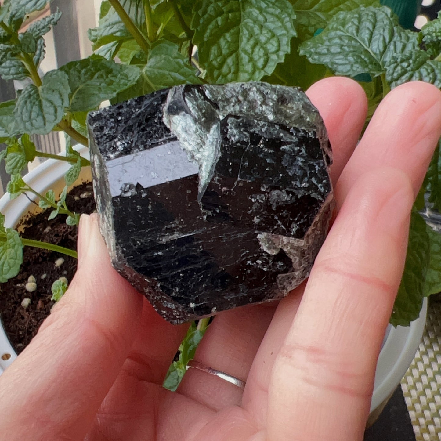 Top Grade Black Tourmaline Twins Raw Stone Perfect Formation 102.3G | Reiki Healing Protection Crystals