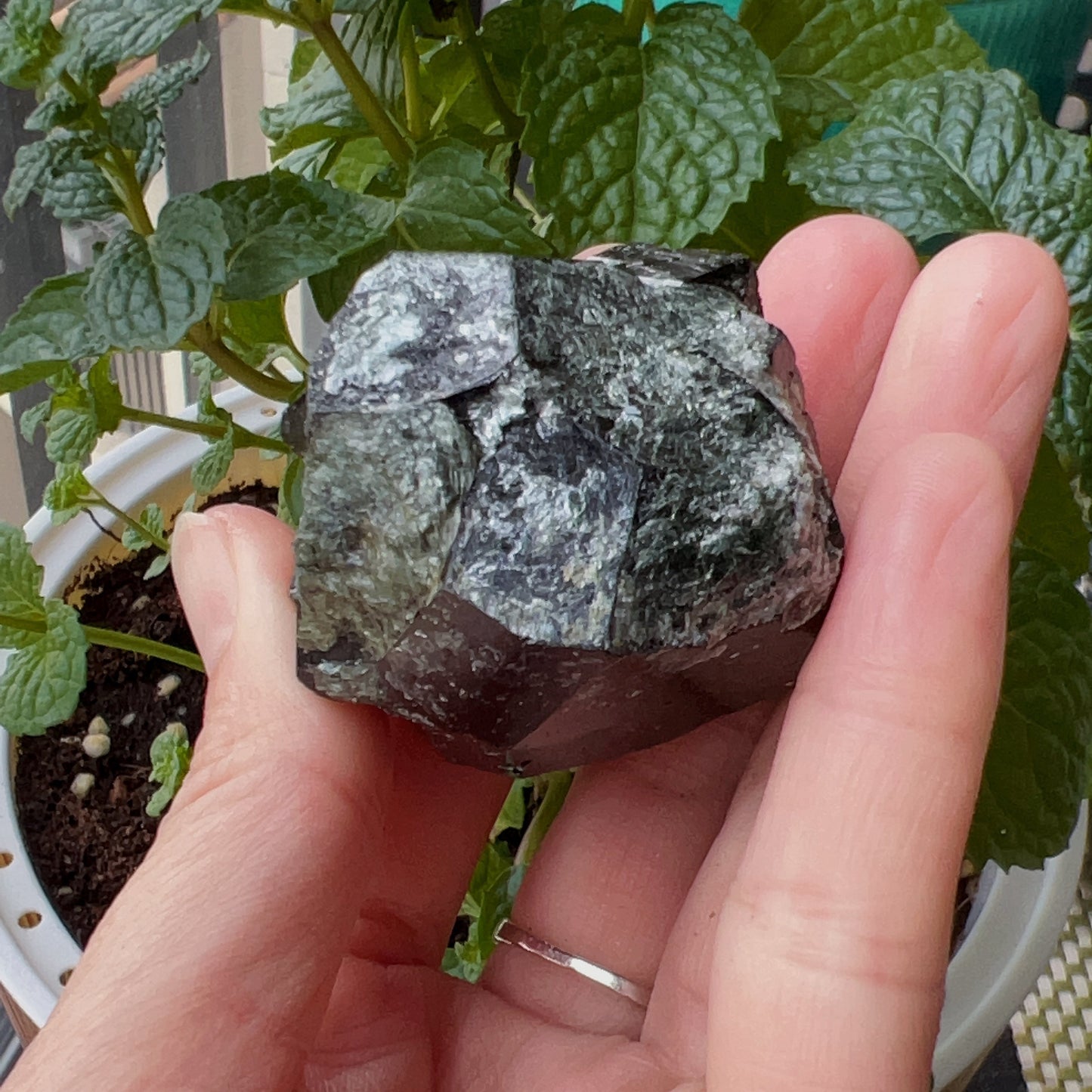 Top Grade Black Tourmaline Twins Raw Stone Perfect Formation 102.3G | Reiki Healing Protection Crystals
