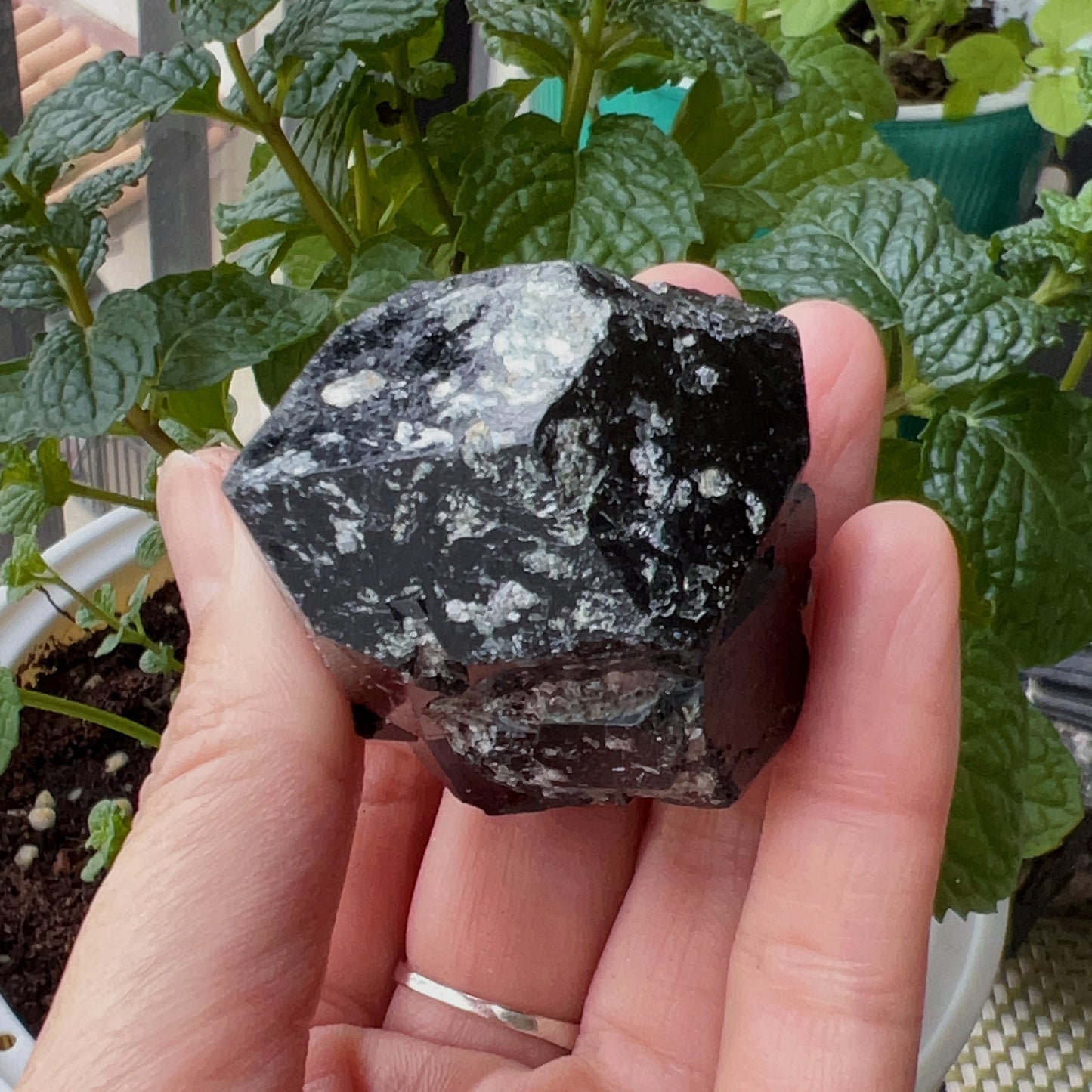Top Grade Black Tourmaline Twins Raw Stone Perfect Formation 102.3G | Reiki Healing Protection Crystals