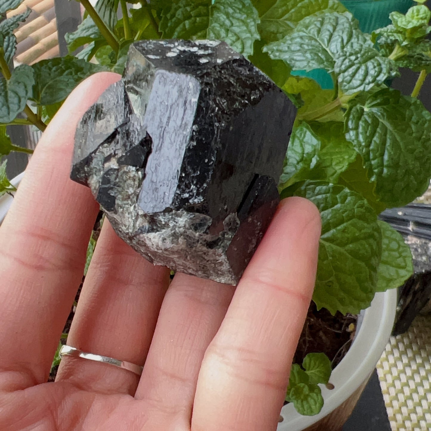 Top Grade Black Tourmaline Twins Raw Stone Perfect Formation 102.3G | Reiki Healing Protection Crystals