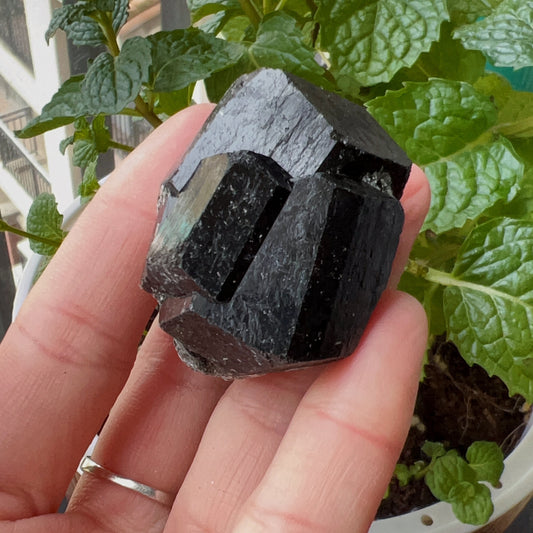 Top Grade Black Tourmaline Twins Raw Stone Perfect Formation 63.6G | Reiki Healing Protection Crystals